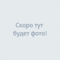 Hotelfotos Онегин