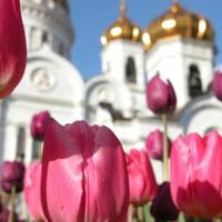 Hotelfotos Week-long Two Capitals of Russia