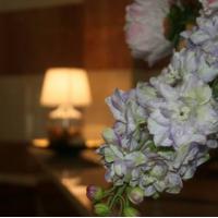 Hotel photos Luch Hotel