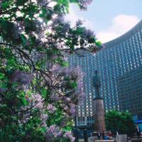 Fotos del hotel Космос