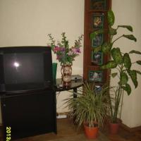 Hotelfotos Хостел Спутник Уюта