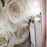 Hotelfotos Angel House Хостел
