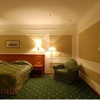Fotos del hotel Бородино